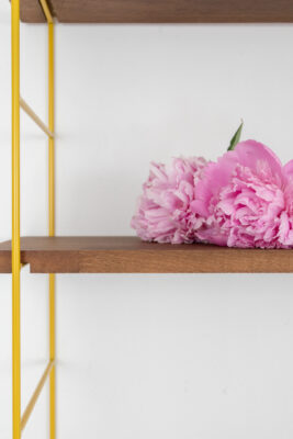 Mustard Shelfing Unit with 4 Walnut Shelves