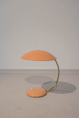 Rare Pretty Austrian Table Lamp, 50's