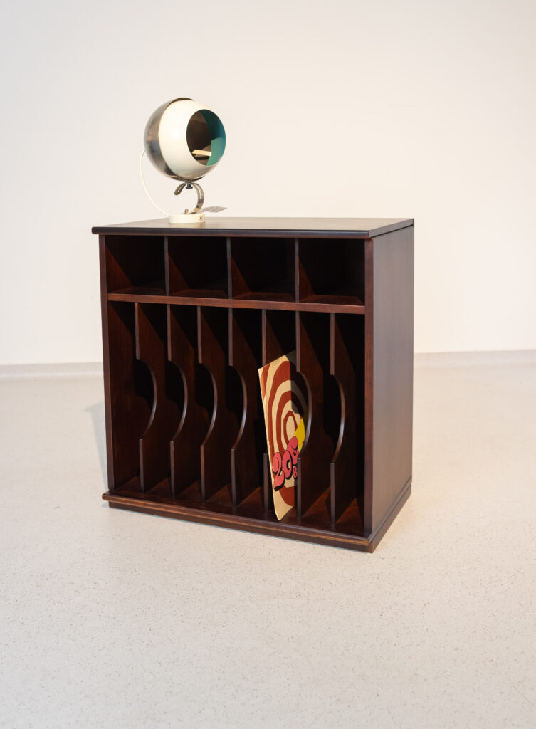 Vinyl Record Storage Cabinet