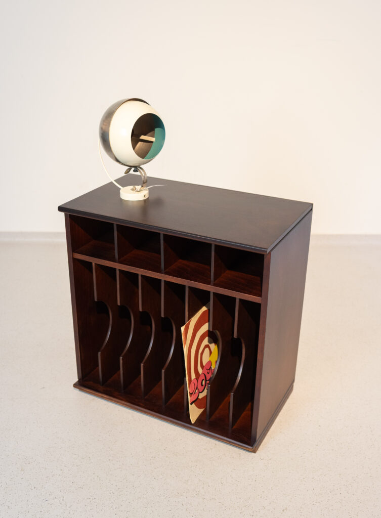 Vinyl Record Storage Cabinet